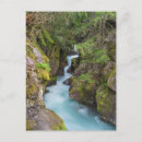 Search for avalanche postcards Glacier national park