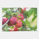 Search for plum tea towels Fruit