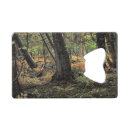 Search for scene bar accessories Photography