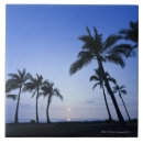 Search for hawaii tiles Palm tree