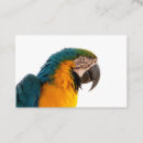 Search for zoo business cards Fun