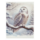 Search for cute owls posters Snow