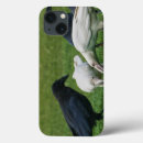 Search for corvids cases Raven