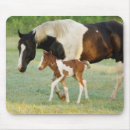 Search for breeding electronics Horse