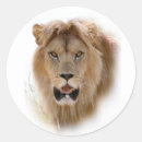Search for lion portrait stickers Nature