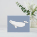 Search for beluga postcards Whale