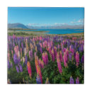 Search for new zealand tiles Meadow