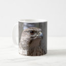 Search for falcon mugs Birds of prey