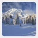 Search for np stickers Winter