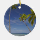 Search for fiji christmas tree decorations Beach