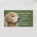 Search for closeup business cards Photograph