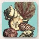 Search for fish cork coasters Seashell