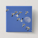 Search for geese badges Migration