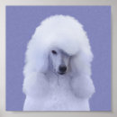 Search for standard poodle posters Dog