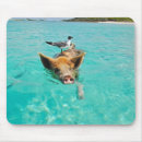Search for funny swimming mouse mats Beach