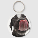 Search for labrador key rings Pet
