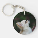 Search for long haired chihuahua key rings Looking up