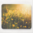Search for buttercup mouse mats Floral