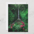 Search for tropical climate cards Nature