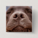 Search for closeup badges Dog