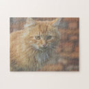 Search for cat face puzzles Pet