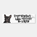 Search for staffordshire bull terrier bumper stickers Dog