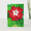 Search for digital art christmas cards Botanical