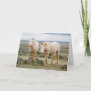 Search for dittos cards Horse