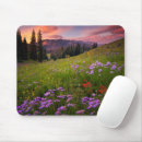 Search for forest path electronics Flower