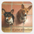 Search for basenji stickers Pet