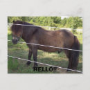 Search for fence cards invites Horses