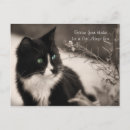Search for adoptive postcards Adoption
