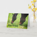 Search for horse birthday cards Equine