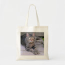 Search for tabby cat bags Kitty