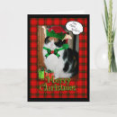 Search for grumpy cat christmas cards Cute