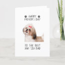 Search for shih tzu cards Cute