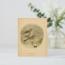 Search for vintage bird postcards Cute