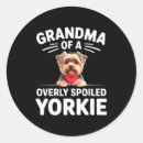 Search for parti yorkie stickers Food