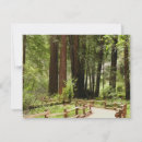 Search for path photography Nature