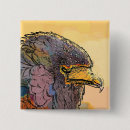 Search for hawks badges Birds of prey