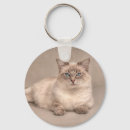 Search for ragdoll key rings Animal