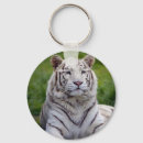 Search for bengal cat key rings Animal