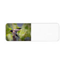 Search for swallow bird return address labels Birds