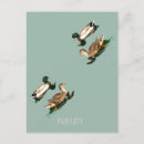 Search for edibility postcards Nature