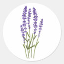 Search for lavender flower stickers Wildflower