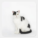 Search for black and white spot stickers Cute