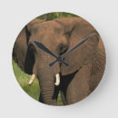 Search for game park art Elephant