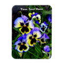 Search for violas magnets Purple