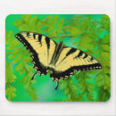 Search for tiger swallowtail mouse mats Close up