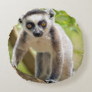Search for lemur cushions Baby